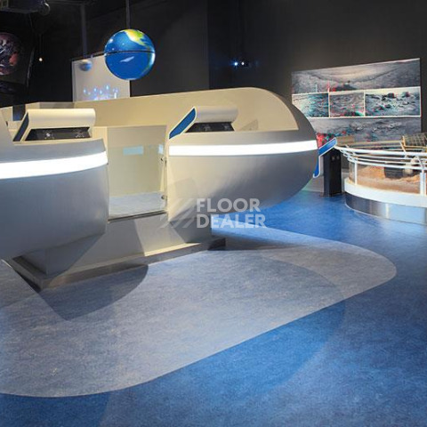 Forbo Marmoleum Decibel on Order 524335 peacock blue фото 2 | FLOORDEALER